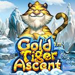 Gold Tiger Ascent